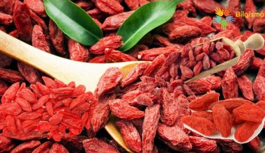Goji Berry Nedir? Nasıl Kullanılır? Yararları ve Yan Etkileri Nelerdir?
