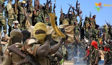 Boko Haram Hakkında Bilgiler; Boko Haram Nedir? Lideri Kimdir?