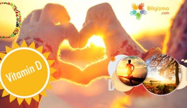 D Vitamini İçeren Besinler Nelerdir?