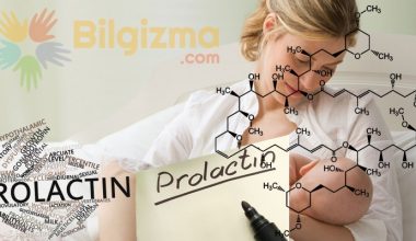 Prolaktin Hormonu Nedir? Ne İşe Yarar?