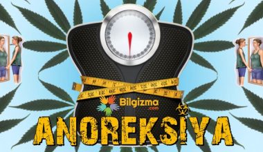 Anoreksiya Nedir? Belirtileri, Teşhisi ve Tedavisi