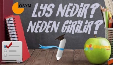 Lisan Yerleştirme Sınavı (LYS) Nedir? Ne İşe Yarar? Kimler Girebilir?