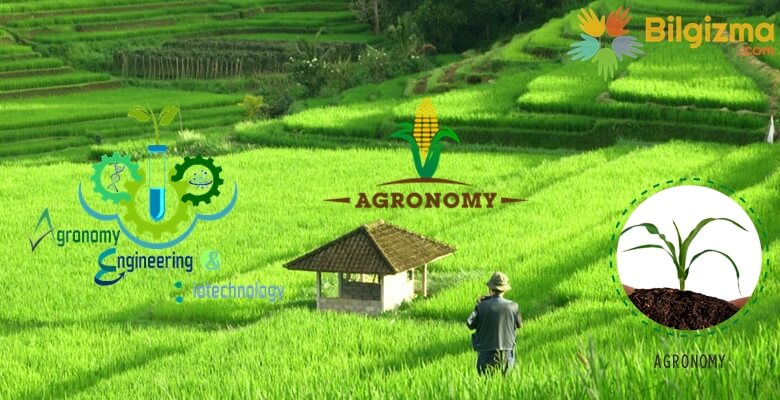 Agronomi Nedir? Agronomist Kime Denir?