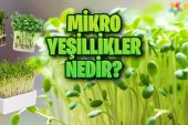 Mikro Yeşillikler Nedir? Nasıl Yetiştirilir?